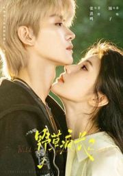野草疯长二